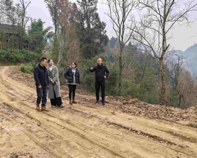 开云体育app官网入口下载
党委副书记何晓华率队赴帮扶村开展乡村振兴工作调研