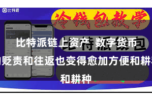 比特派链上资产  数字货币的贬责和往返也变得愈加方便和耕种